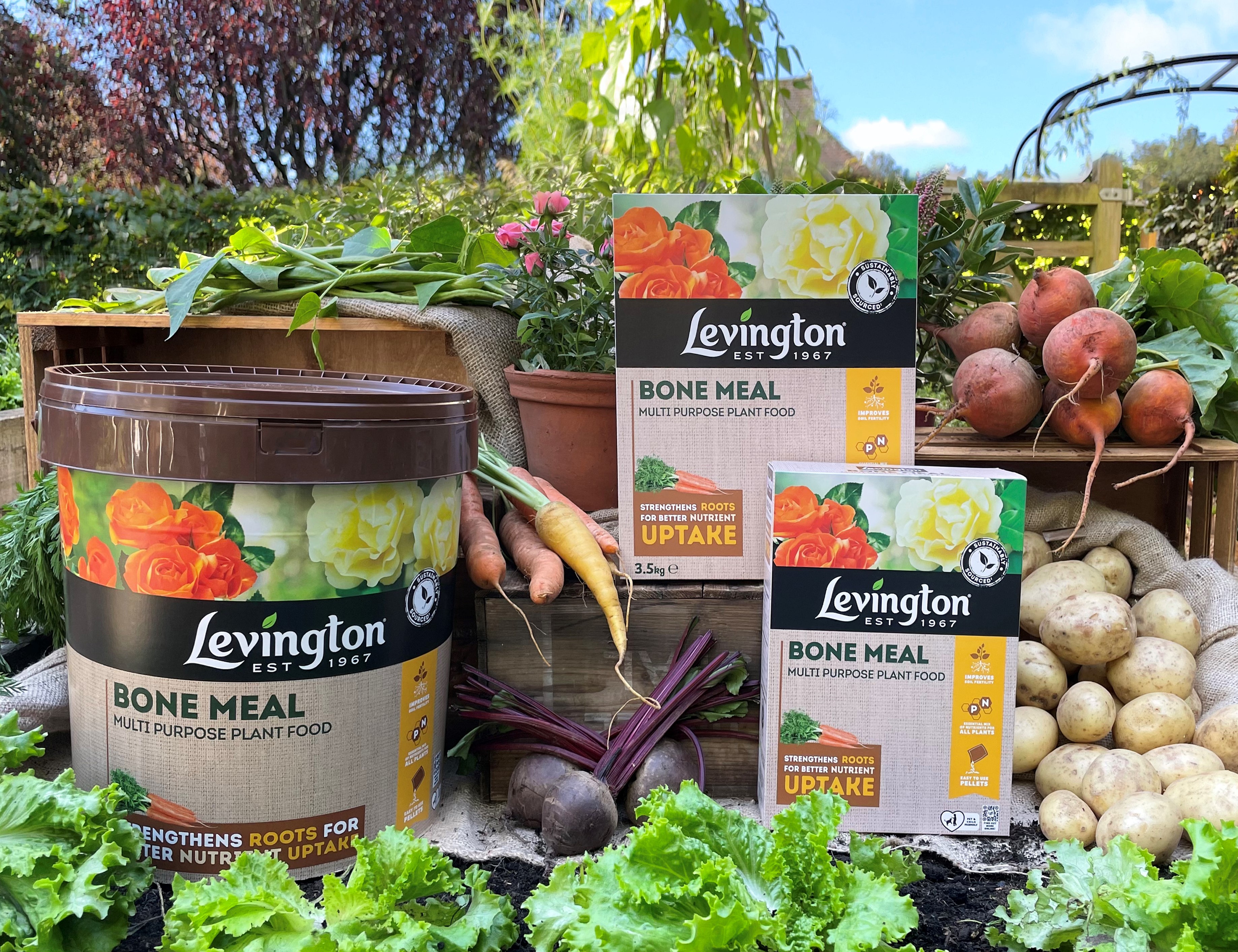 Top 10+ What Plants Like Bone Meal